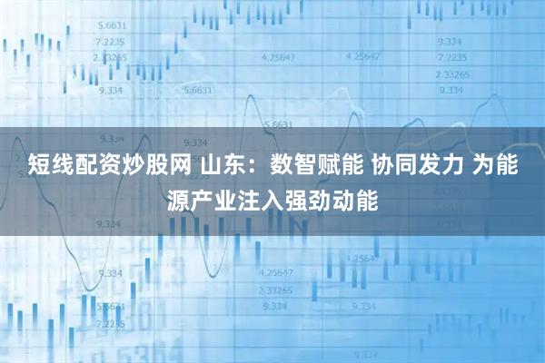 短线配资炒股网 山东:数智赋能 协同发力 为能源产业注入强劲动能